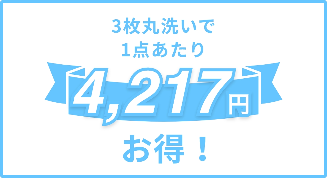 3枚丸洗いで1点あたり4,217円お得！