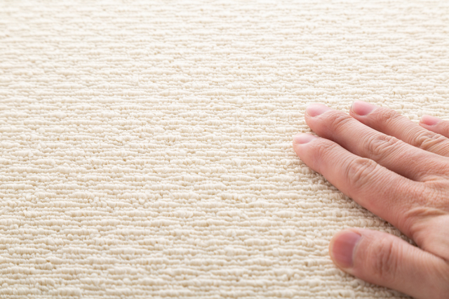 カーペットを拭く